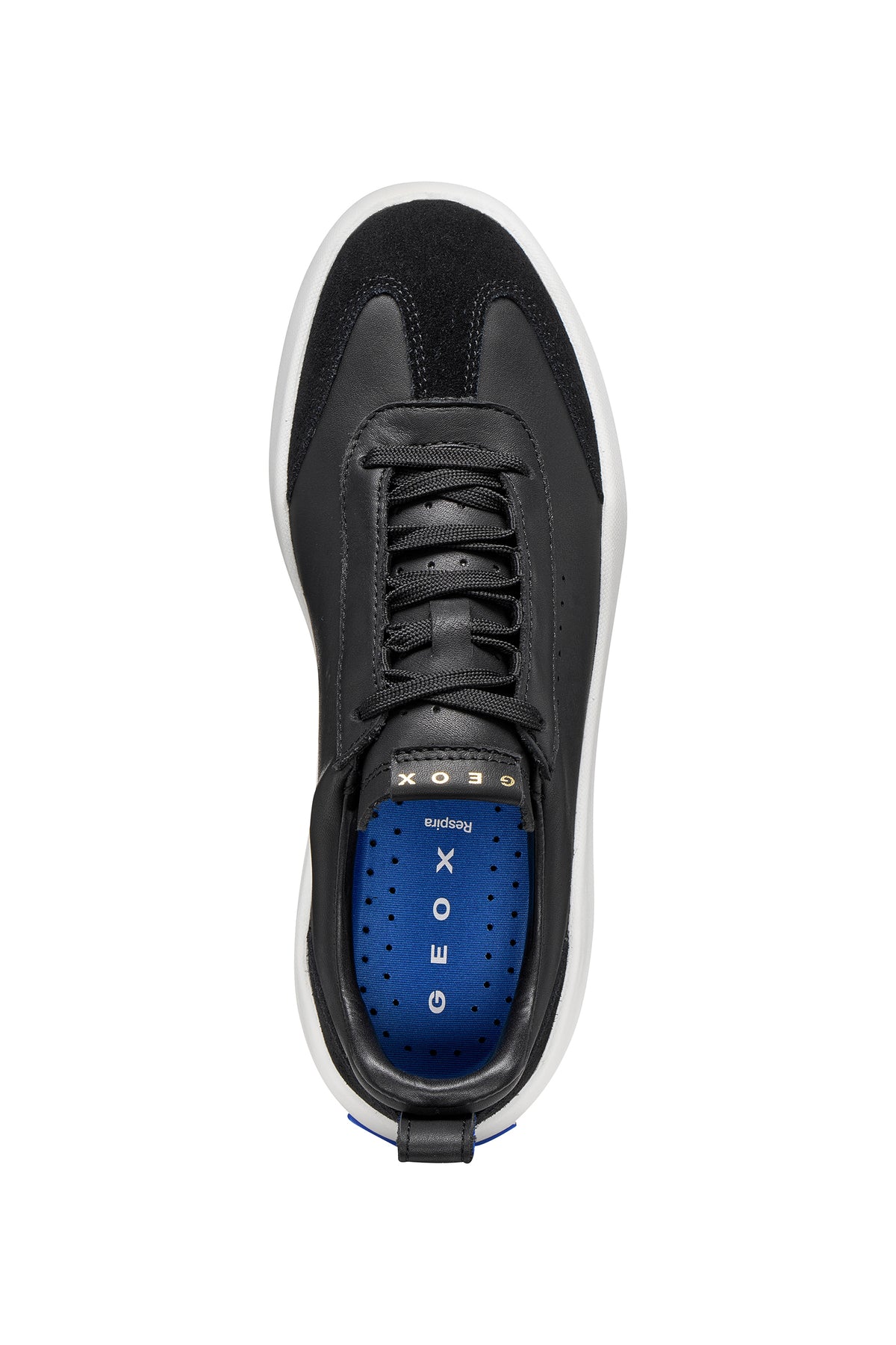 Geox D65AJA D GXCP-02 - BLACK